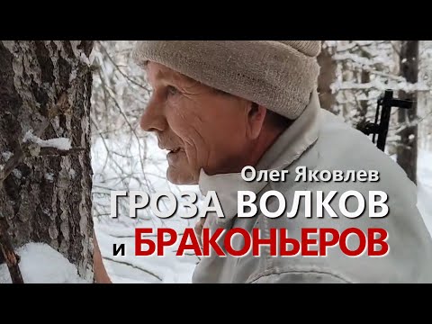 Видео: МИТРОФАНЫЧ, ГРОЗА ВОЛКОВ И БРАКОНЬЕРОВ. ХОЗЯЕВА ТАЙГИ.