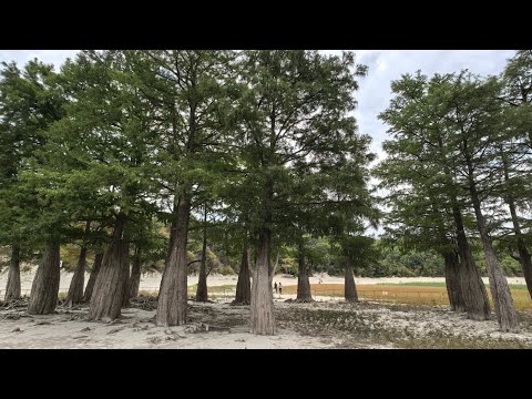 Видео: КИПАРИСОВОЕ ОЗЕРО В СУККО- ОБЗОР 09.09.2025 #анапа