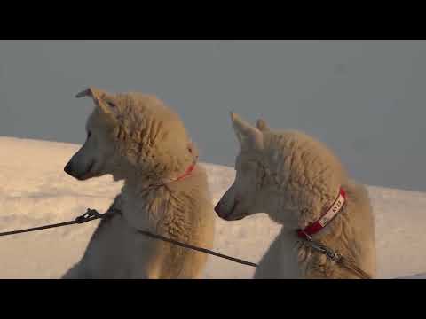 Видео: Дневник Берингии 2024 ФИНИШ