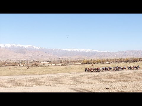 Видео: ТАЛАС & ОШ ФИНАЛ