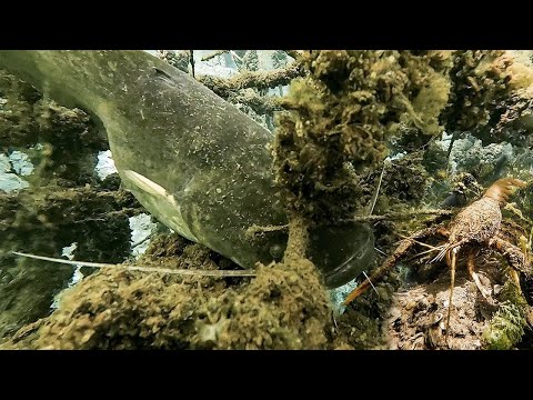 Видео: Скромное начало сезона