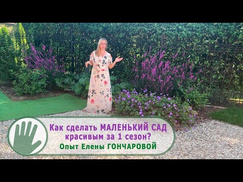 Видео: Видео журнал "СОФ №136"  Как сделать МАЛЕНЬКИЙ САД красивым за 1 сезон? Опыт Елены ГОНЧАРОВОЙ