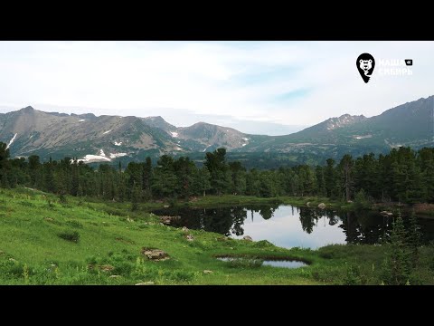 Видео: Наша Сибирь 4К: Озёра Золотой долины