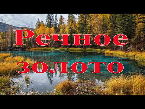 Видео: Речное золото! River gold!