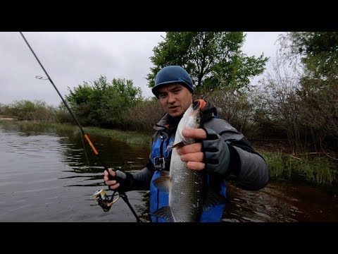 Видео: Рыбалка на дикой реке.  Жереховая снасть +Конкурс