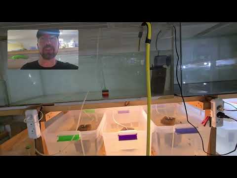 Видео: Готово, всё работает 👍