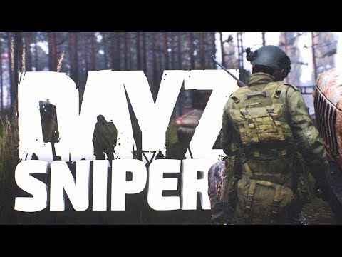 Видео: Самый тихий снайпер - DayZ 1.03