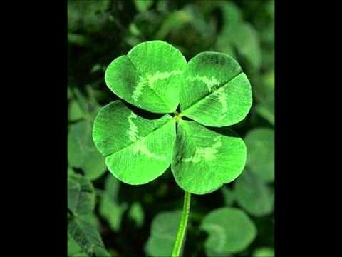 Видео: Листвой шелестит сентябрь