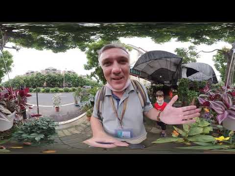 Видео: Китай. День вседозволенности. Жизнь без масок. Идём в школу. Возвращение рынка и салата. Video 360