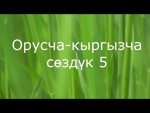 Видео: Орусча-кыргызча сөздүк 5