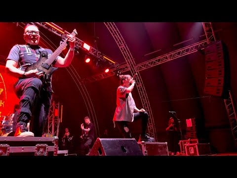 Видео: Слот - Кукла Вуду | фанатка за барабанами | 24.11.24 | Волгоград