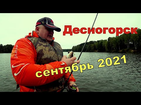 Видео: Клёв рыбы в Десногорске в сентябре 2021 и Прибамбасов