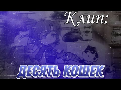 Видео: клип: " Десять кошек" ( Екатерина Яшникова) // #Gachalife #gachaclub // ° TheNora °