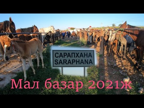 Видео: Арнамыздың дамуына ат салысыңыздар ҚАЗАҒЫМ...