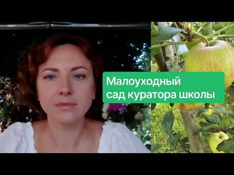 Видео: Малоуходный сад куратора школы