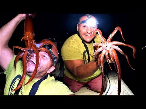 Видео: Медленная отсадка кальмаров ??? Встречайте японский стиль Ika Metal для Squid Wars !!!