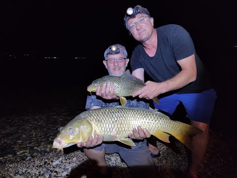 Видео: Рыбалка в Израиле  17-20.10.2022