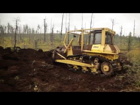 Видео: Тайга до горизонта Д Слободчиков