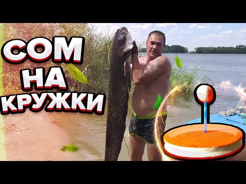 Видео: СОМ НА ПОСТАВУШКИ