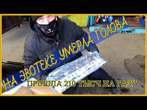Видео: Замена головы на эвотеке! Поставил TANAKI! На пробеле 370 тысяч, заменил голову!