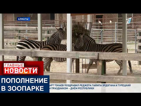 Видео: 87 МАЛЫШЕЙ: В АЛМАТИНСКОМ ЗООПАРКЕ ПОХВАСТАЛИСЬ ПРИПЛОДОМ И ПОДВЕЛИ ПУШИСТЫЕ ИТОГИ ГОДА