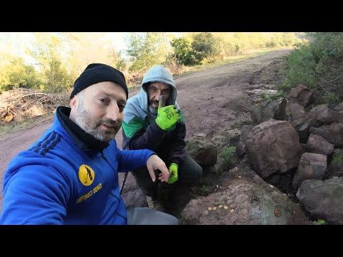Видео: Мы открыли сокровищницу, построенную у входа в курганную гробницу!!!