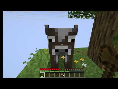 Видео: Създадохме си свят на No block