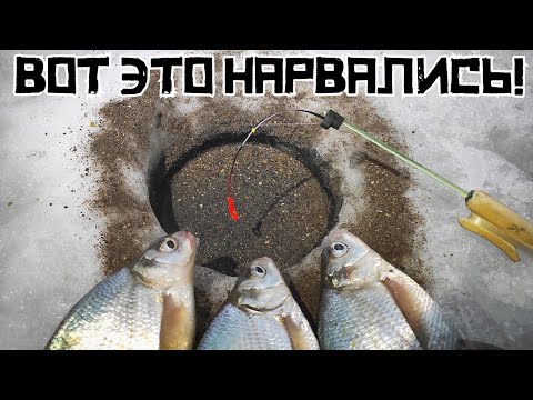 Видео: ПОПАЛИ В настоящее ГЛУХОЗИМЬЕ и НАЛОВИЛИ! Зимняя рыбалка 2025