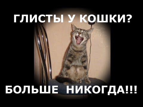 Видео: Как избавить кошку и котят от глистов быстро .