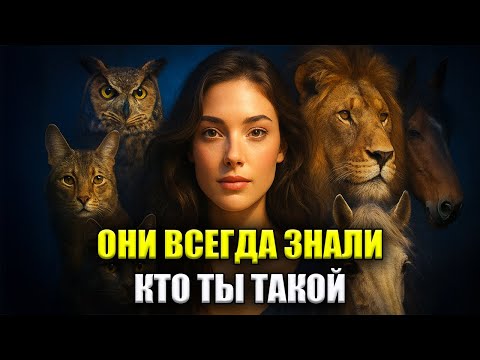 Видео: ЭТИ 8 ЖИВОТНЫХ ВСЕГДА УЗНАЮТ ИЗБРАННОГО
