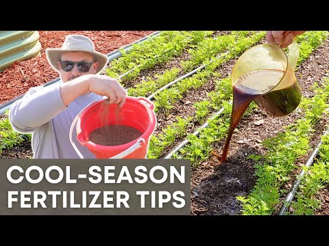 Видео: Жидкое или гранулированное удобрение? Что лучше всего подходит для каждой осенней культуры!