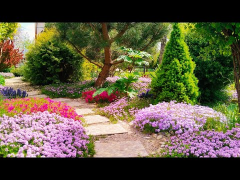 Видео: Клумба без прополки - Эффектные растения для красивых клумб! Реки и водопады из цветов #garden #сад