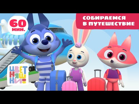 Видео: Цветняшки — Собираемся в путешествие  — Сборник  — Развивающий мультфильм