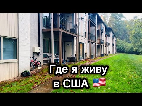 Видео: Американские апартаменты, в которых я живу 🇺🇸