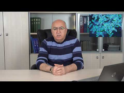 Видео: Метабиотики