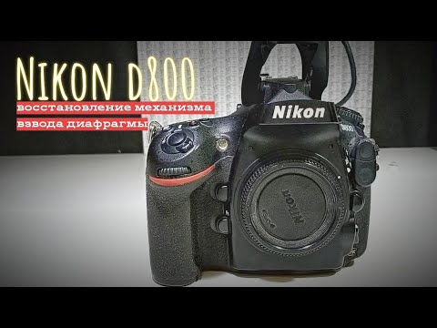 Видео: nikon d800. ремонт механизма взвода диафрагмы