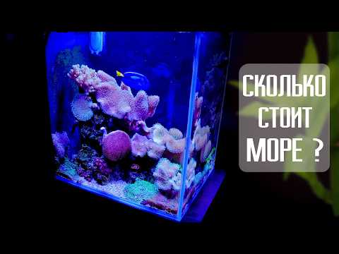 Видео: Морской аквариум реальная стоимость без иллюзий