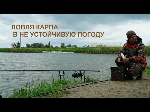 Видео: ***ЛОВЛЯ КАРПА В НЕ УСТОЙЧЕВУЮ ПОГОДУ***