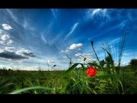 Видео: Хочи Мирзо-ам-191 посухи суолхо