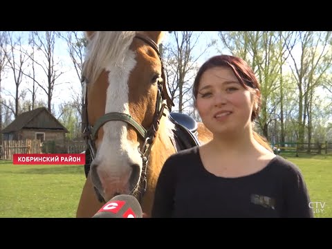 Видео: Лошади с горным колоритом! Табунщик с Северного Кавказа переехал в Беларусь и открыл конюшню