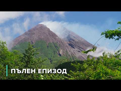 Видео: Древни руини и огнени корени | Вулканични одисеи 202