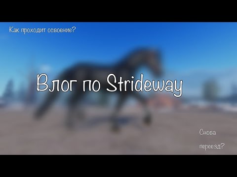 Видео: Влог по Strideway| Снова переезд? Как проходит адаптация?| Equines