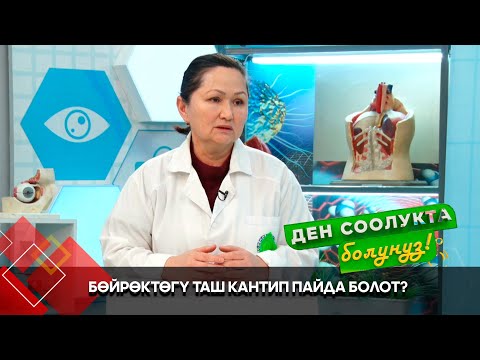 Видео: Бөйрөктөгү таштын пайда болушу жана кооптуулугу // "Ден соолукта болуңуз" берүүсү