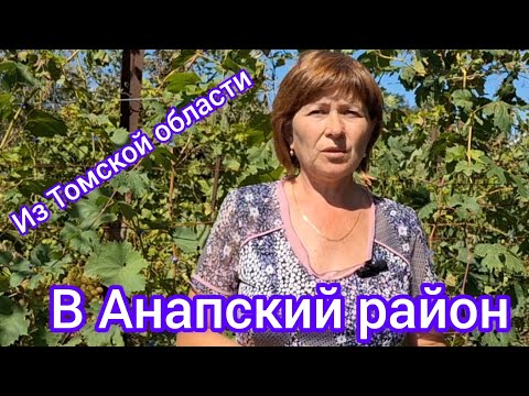 Видео: Из Сибири на Юг. История нашего переезда