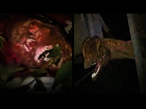 Видео: Не отвечайте динозаврам