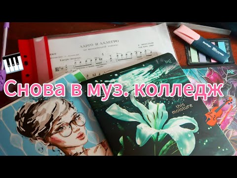 Видео: СНОВА В МУЗЫКАЛЬНЫЙ КОЛЛЕДЖ (обзор канцелярии) 