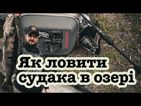 Видео: Як ловити судака на озері?