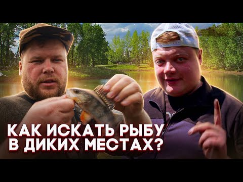 Видео: ОТПРАВИЛИСЬ НА ЗАВОДЬ СУРСКОГО ВОДОХРАНИЛИЩА ПОЛОВИТЬ ХИЩНИКА