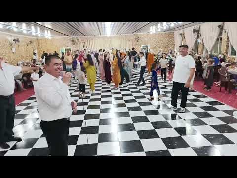 Видео: Илхомжон Хатаев жанона Туеона.2024.
