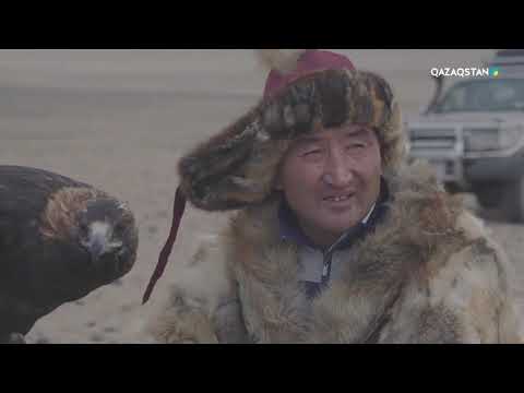 Видео: Көшпенділер. Деректі фильм. Монғолия қазақтары - бүркітшілер. 1-бөлім